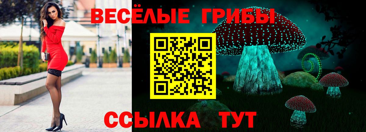 Псилоцибиновые грибы Psilocybine cubensis Боровичи